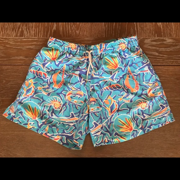 chubbies men's swim